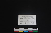 梅花鹿骨藏品圖，第3張