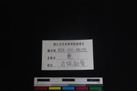 梅花鹿骨藏品圖，第3張