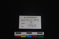 梅花鹿骨藏品圖，第3張