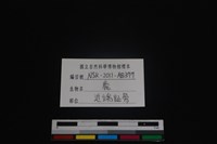 梅花鹿骨藏品圖，第3張