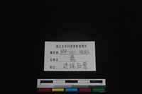 梅花鹿骨藏品圖，第3張
