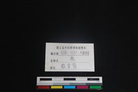 梅花鹿骨藏品圖，第3張