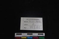 偶蹄目骨藏品圖，第3張