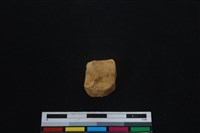 梅花鹿骨藏品圖，第3張