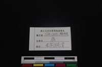 梅花鹿骨藏品圖，第4張