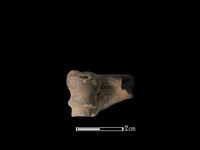 獐骨藏品圖，第1張