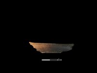 獐骨藏品圖，第1張