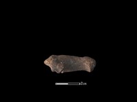 獐骨藏品圖，第1張