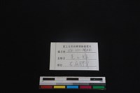 鹿科骨藏品圖，第3張