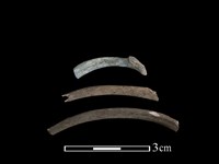 狗獾骨藏品圖，第1張