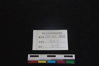 食肉目骨藏品圖，第3張