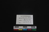 麝香貓骨藏品圖，第3張