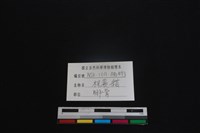 棕蓑貓骨藏品圖，第3張