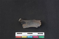 鹿科骨藏品圖，第1張