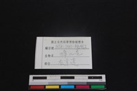 鹿科骨藏品圖，第3張