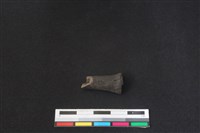 鹿科骨藏品圖，第1張