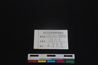 鹿科骨藏品圖，第3張