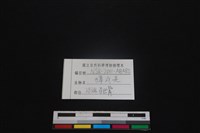 鹿科骨藏品圖，第3張