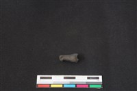 鹿科骨藏品圖，第1張