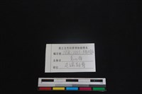 鹿科骨藏品圖，第3張