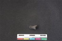 鹿科骨藏品圖，第1張