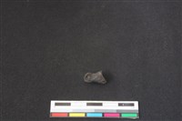 鹿科骨藏品圖，第2張