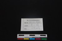 鹿科骨藏品圖，第3張