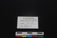 鹿科骨藏品圖，第3張