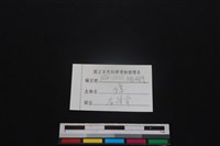 獐骨藏品圖，第3張