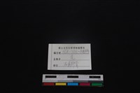 山羌骨藏品圖，第3張