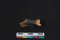 山羌骨藏品圖，第1張