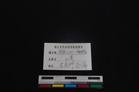 山羌骨藏品圖，第3張