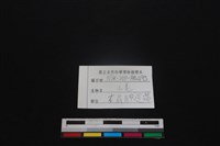 山羌骨藏品圖，第3張
