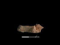 山羌骨藏品圖，第2張