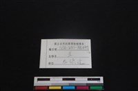山羌骨藏品圖，第3張