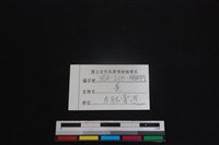山羌骨藏品圖，第3張