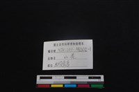 山羌骨藏品圖，第3張
