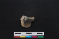 山羌骨藏品圖，第1張