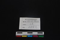 山羌骨藏品圖，第3張