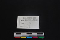 山羌骨藏品圖，第3張