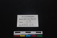 山羌骨藏品圖，第3張