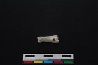 山羌骨藏品圖，第1張