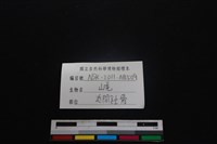 山羌骨藏品圖，第3張