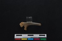 山羌骨藏品圖，第1張