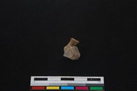 山羌骨藏品圖，第1張