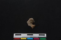 山羌骨藏品圖，第2張