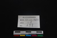 山羌骨藏品圖，第3張
