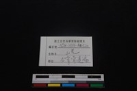 山羌骨藏品圖，第3張