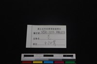 山羌骨藏品圖，第3張