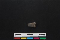 山羌骨藏品圖，第2張